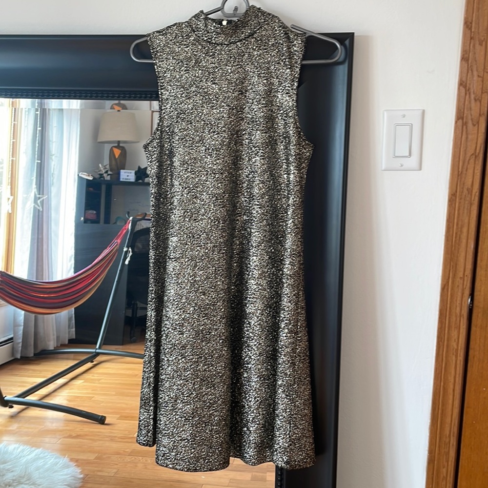 Shiny dress